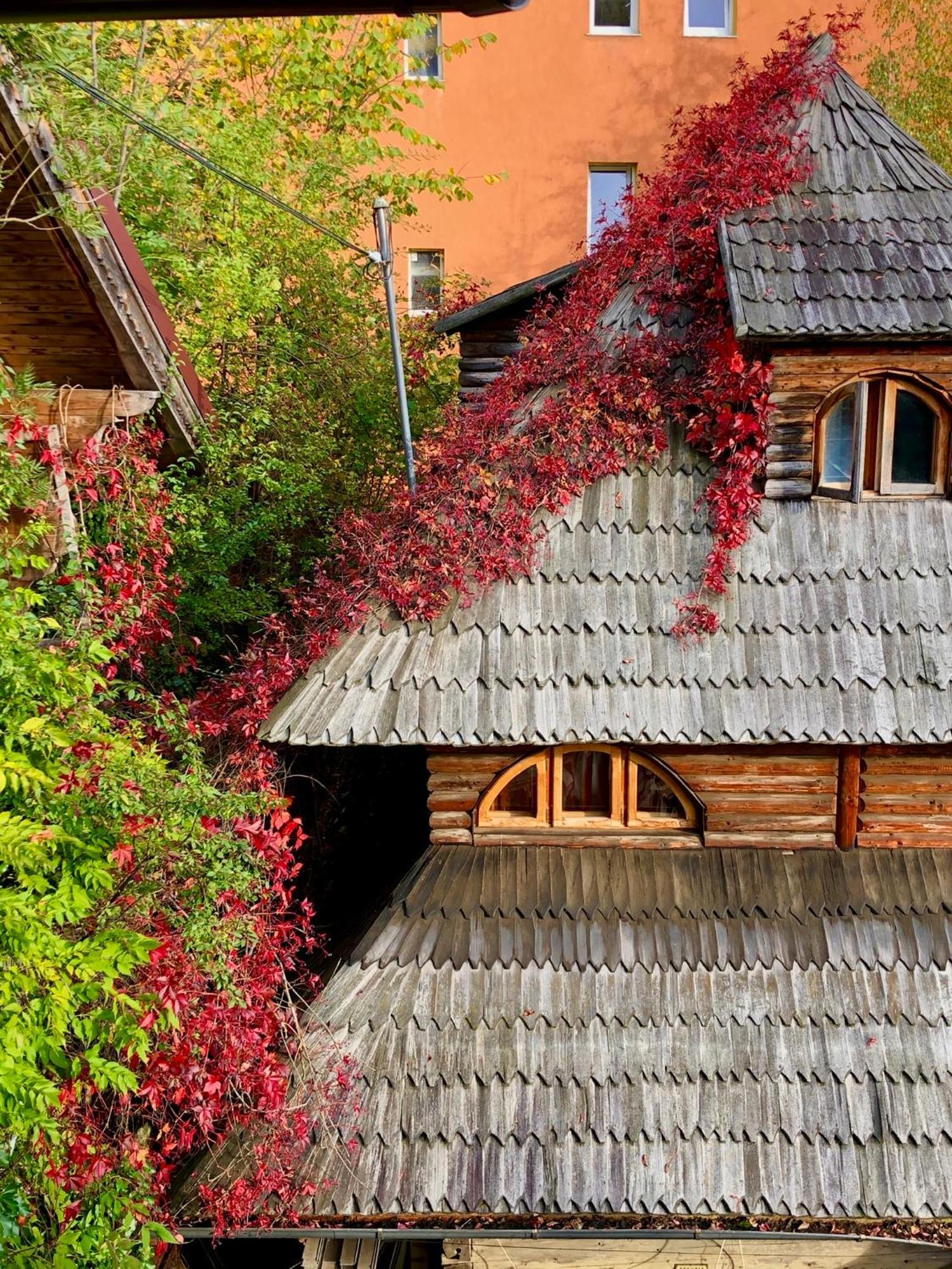 Vila Casa Ieud - Catun Sinaia Exteriér fotografie